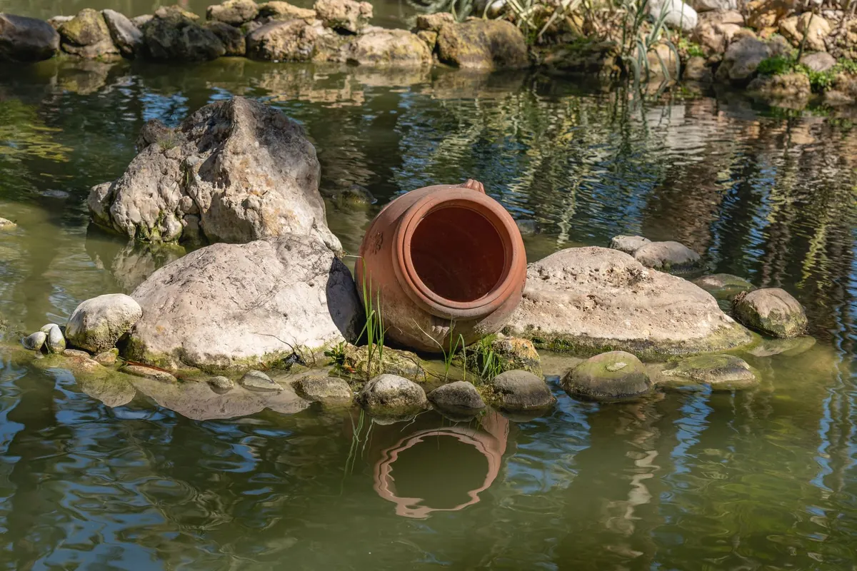 Create a Wildlife-Friendly Container Pond for Small Gardens